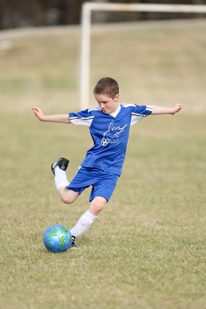 IMAGE: http://i239.photobucket.com/albums/ff66/mcgomez13/Sharks-214.jpg