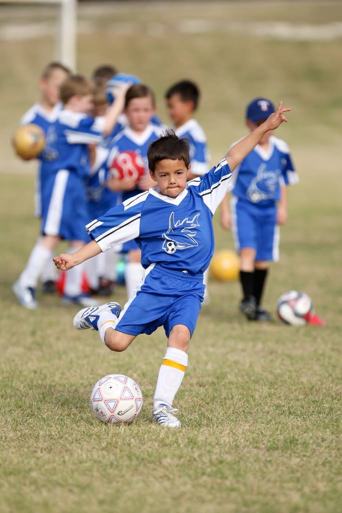 IMAGE: http://i239.photobucket.com/albums/ff66/mcgomez13/Sharks-220.jpg