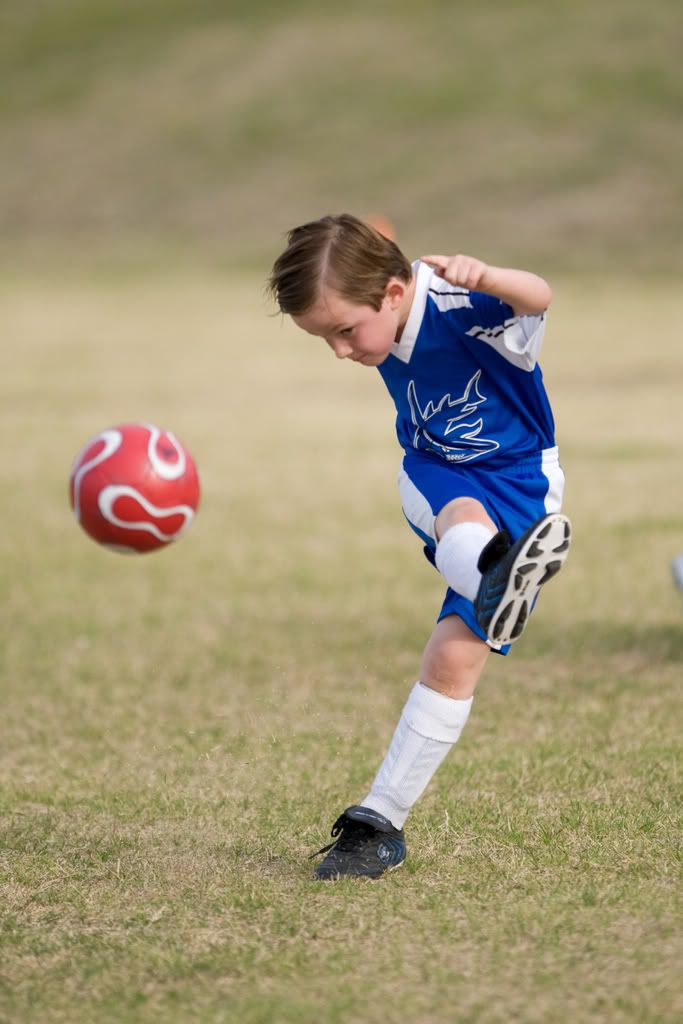 IMAGE: http://i239.photobucket.com/albums/ff66/mcgomez13/Sharks-265.jpg