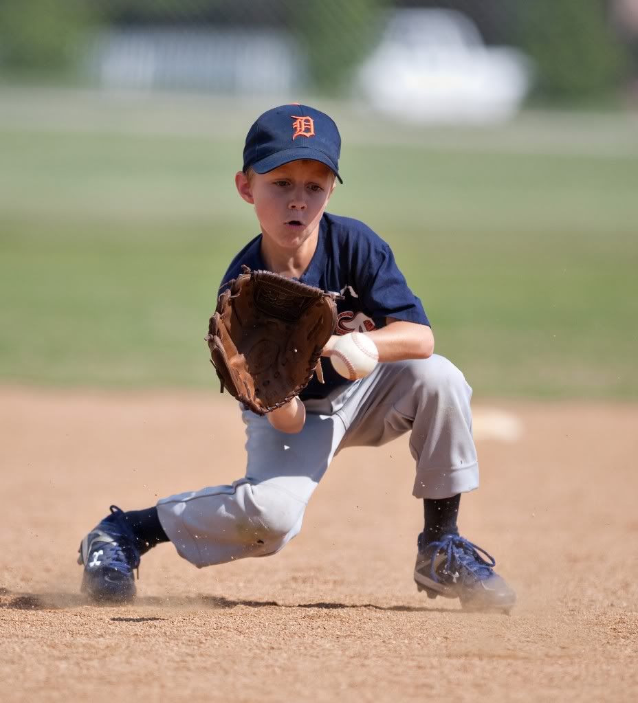 IMAGE: http://i239.photobucket.com/albums/ff66/mcgomez13/Tigers-244.jpg