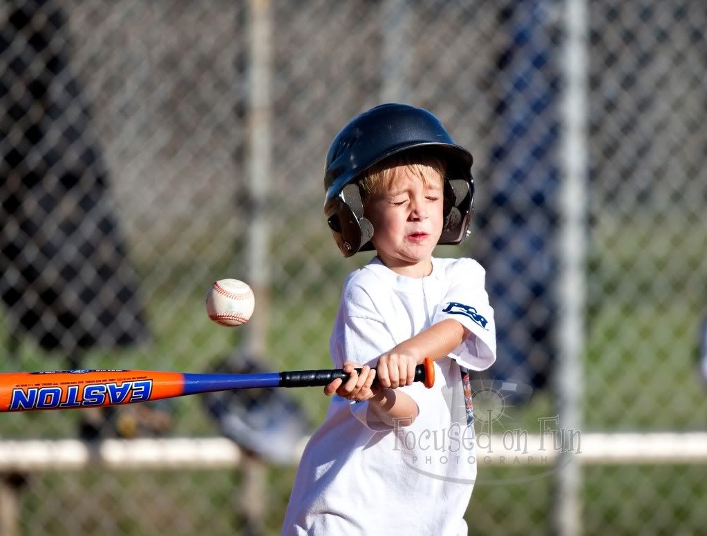 IMAGE: http://i239.photobucket.com/albums/ff66/mcgomez13/TigersTball-433-1.jpg