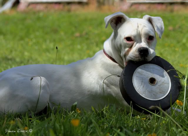 IMAGE: http://i239.photobucket.com/albums/ff7/supasi/POWWOWcopy.jpg