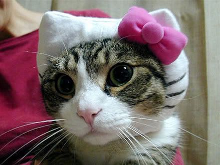 hello kitty cat costume