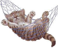 poes01.gif Cat lol image by Liekjesdraak
