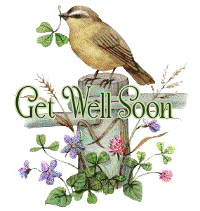 Image result for get well soon birds