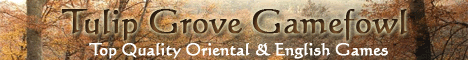 Specializing in Oriental, and English Gamefowl.