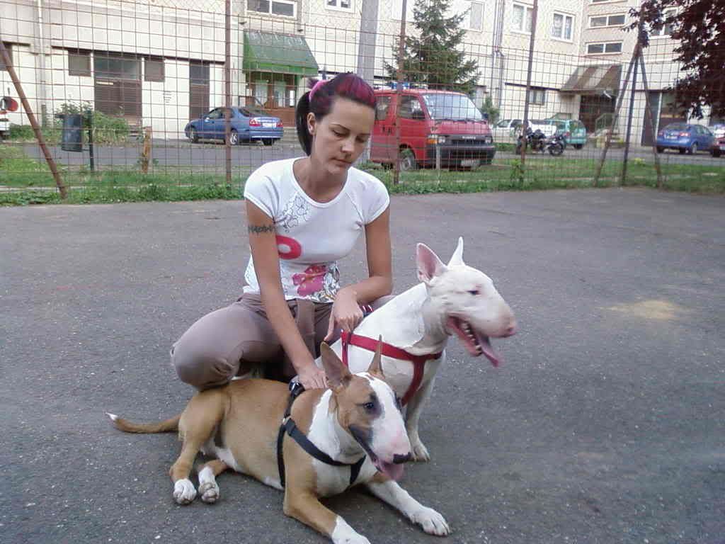 Fnykpek-0003.jpg