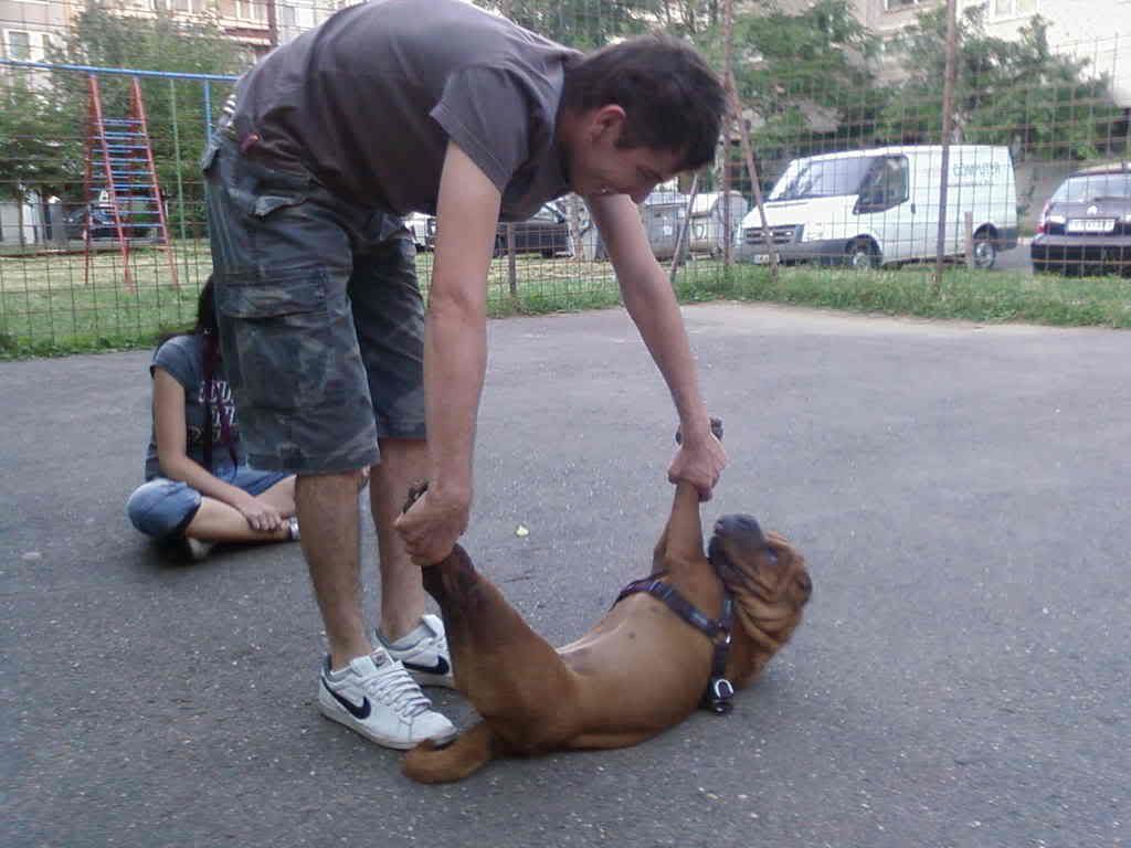 Fnykpek-0004.jpg