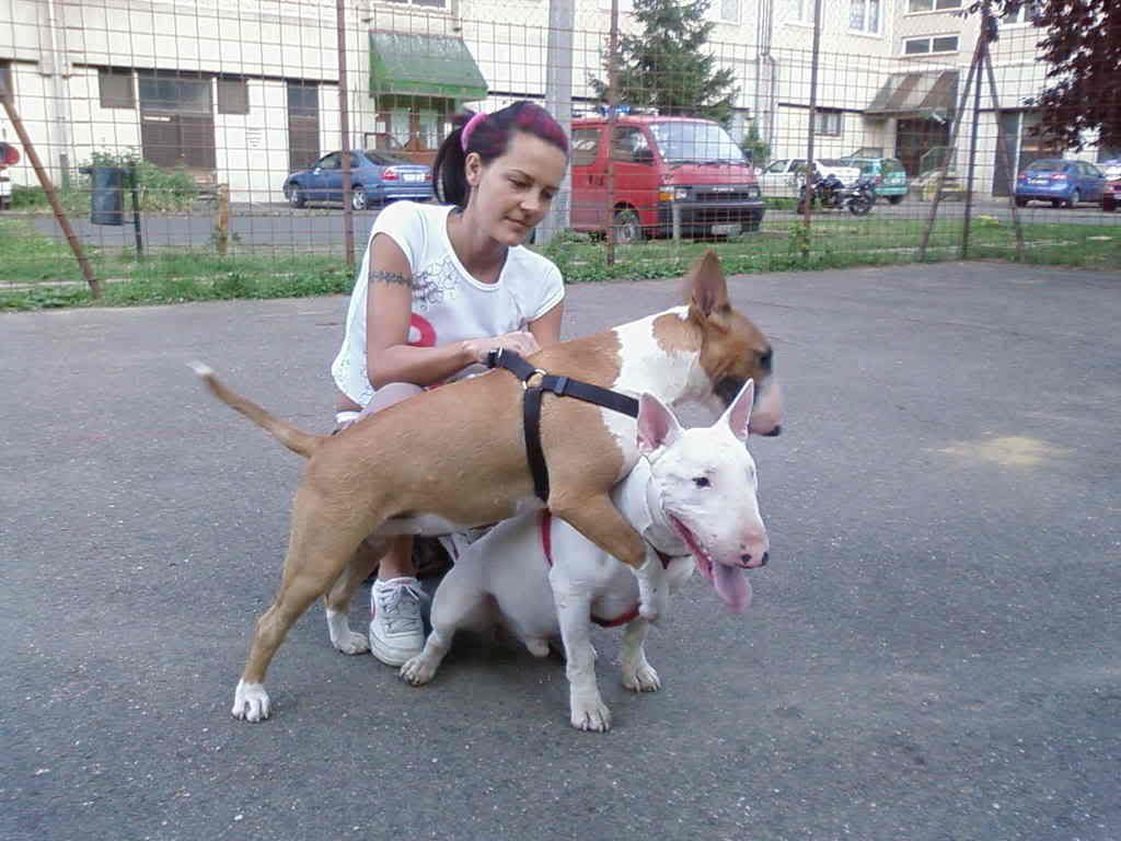 Fnykpek-0005-2.jpg