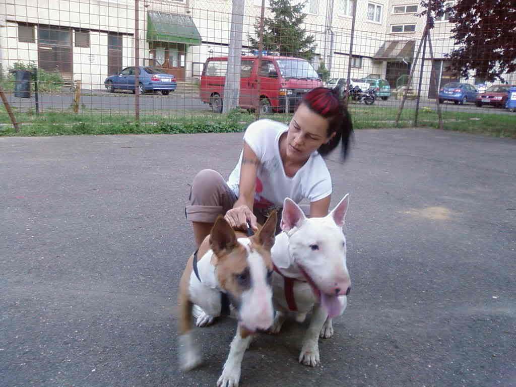 Fnykpek-0006-1.jpg