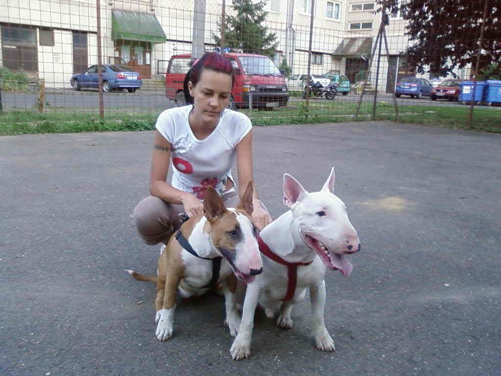 Fnykpek-0007-2.jpg