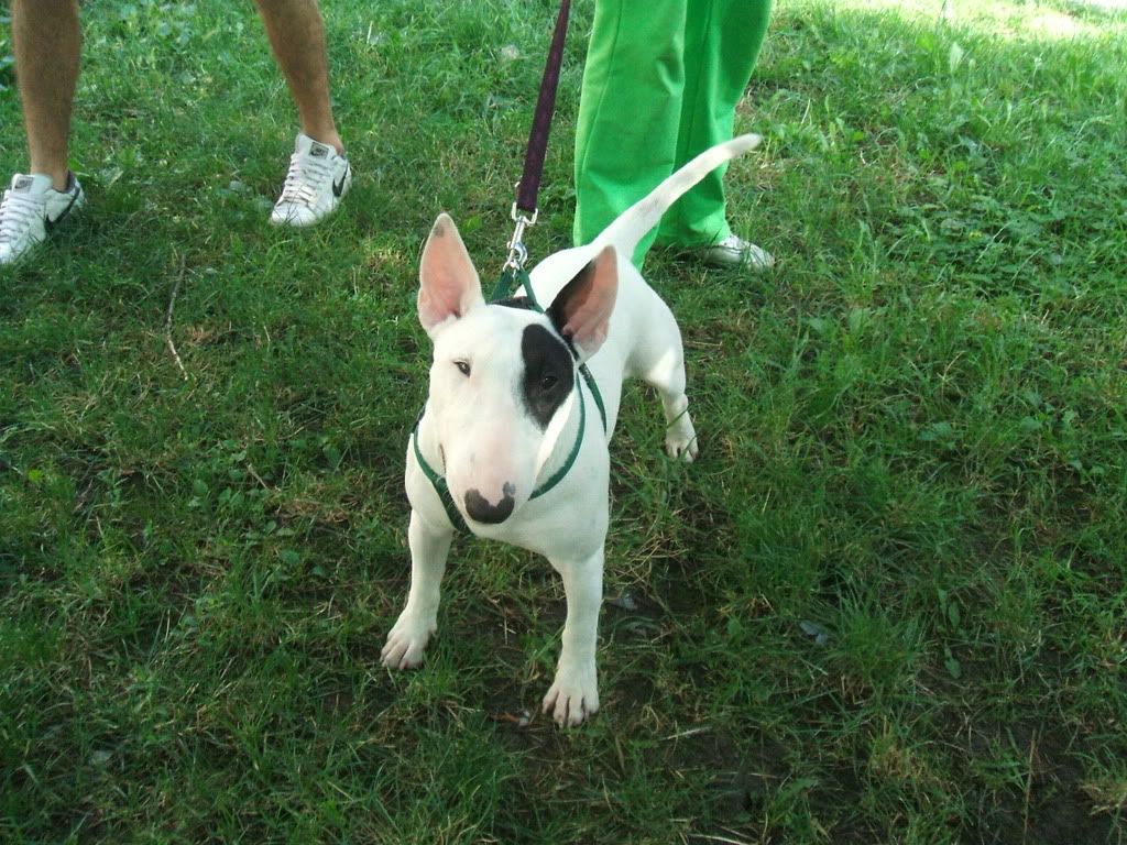 Foto023.jpg