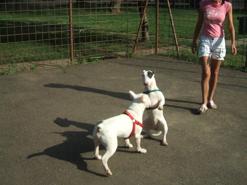 Foto027.jpg