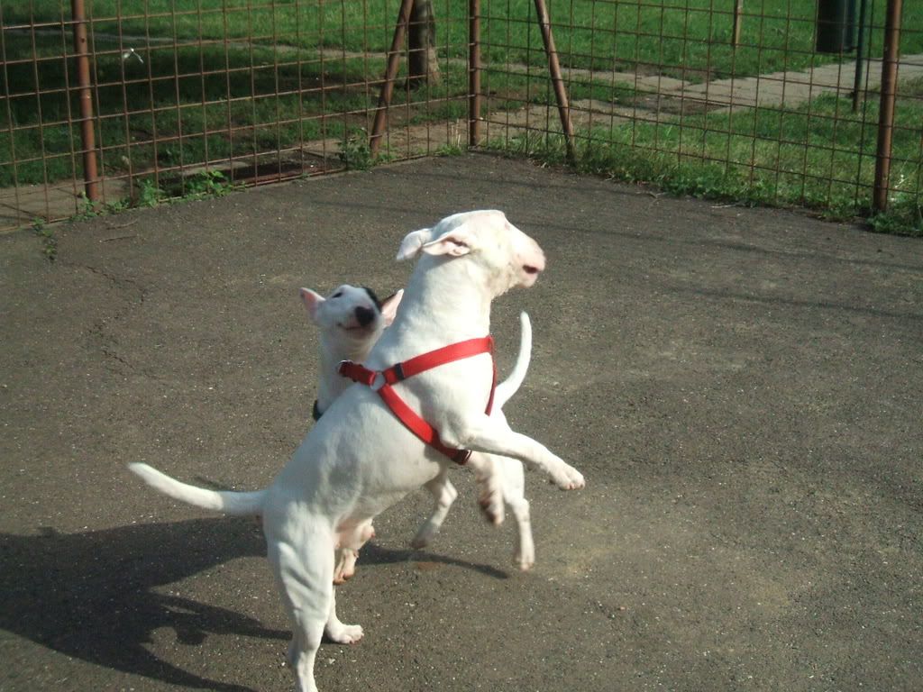 Foto029.jpg