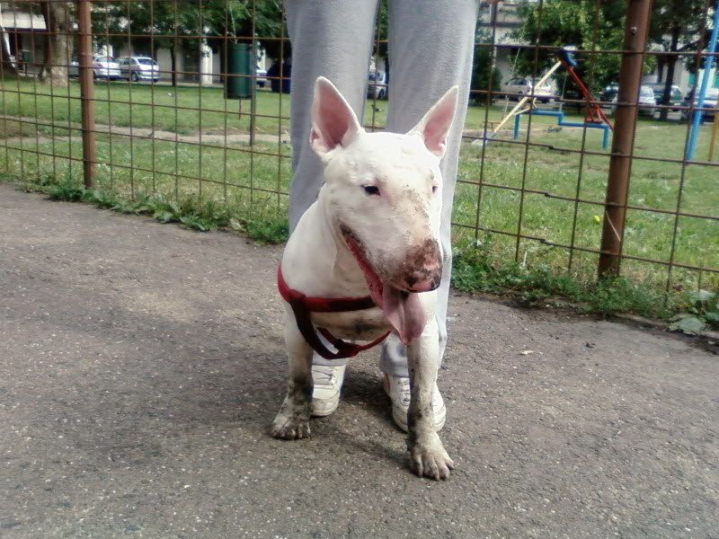 SP_A0010.jpg