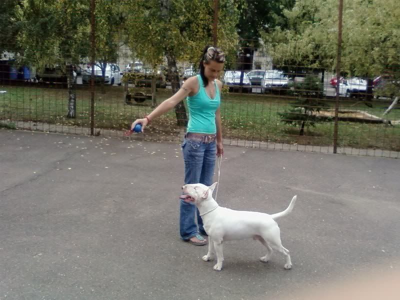 SP_A0082.jpg