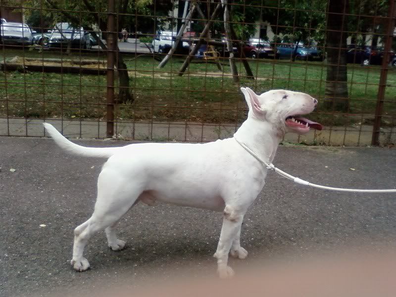 SP_A0085.jpg