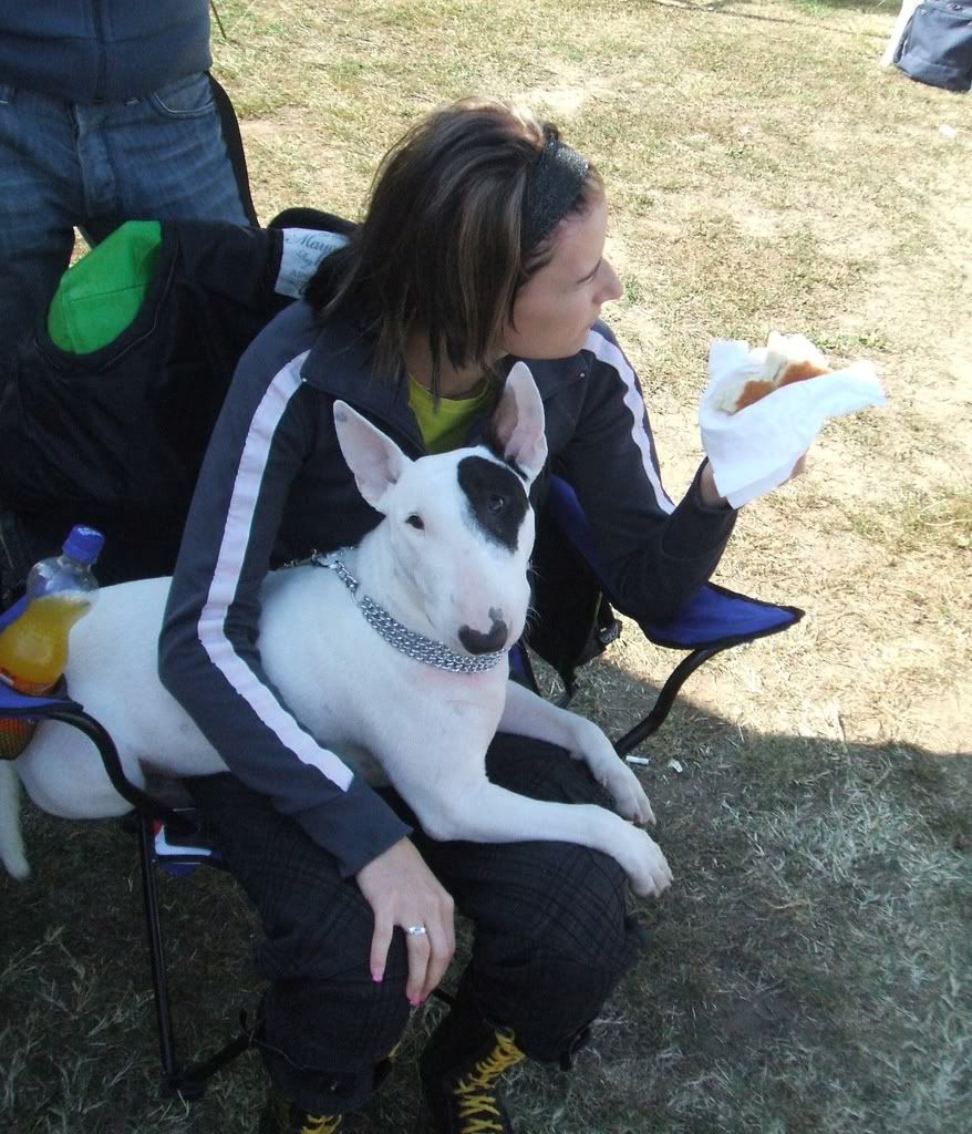 debrecencacib002.jpg