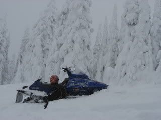 sledding007-1.jpg