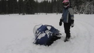 sleds011.jpg