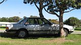 th_IMG_0286Med-1.jpg