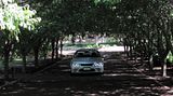 th_IMG_0353crop-1.jpg