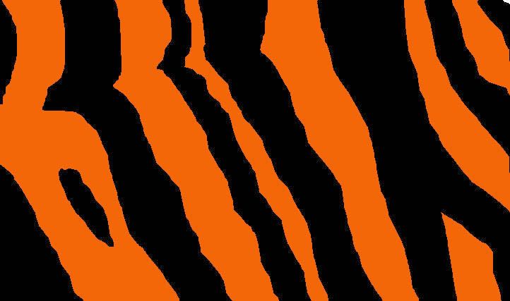 MySpace Layout Tiger Stripes