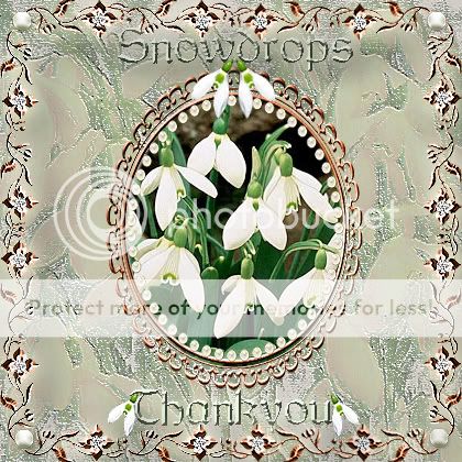 Thankyou.jpg Thankyou image Snowdrops10