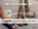 CamelToe.jpg Camel Toe image by jmvesey7