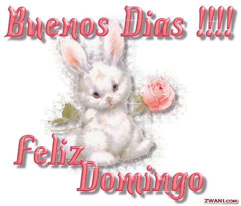 z-domingo.gif