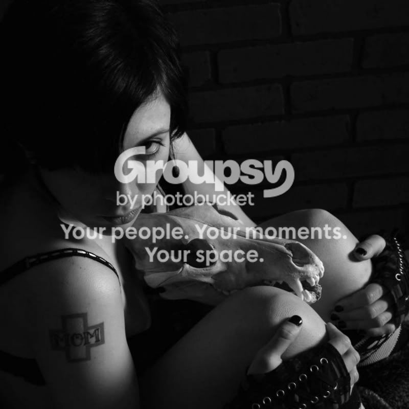 User Image