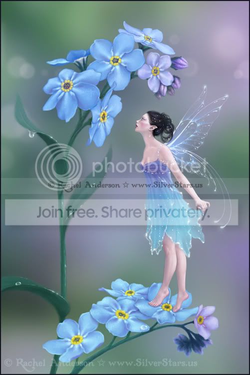 forget-me-not.jpg