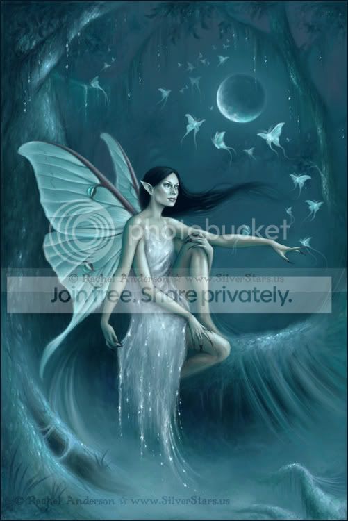 luna_moth.jpg