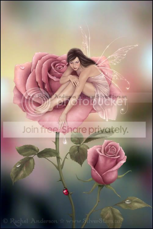 rose.jpg