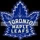 tml1-1.jpg