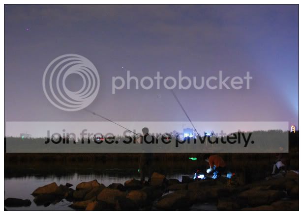 click to view fullsize image
