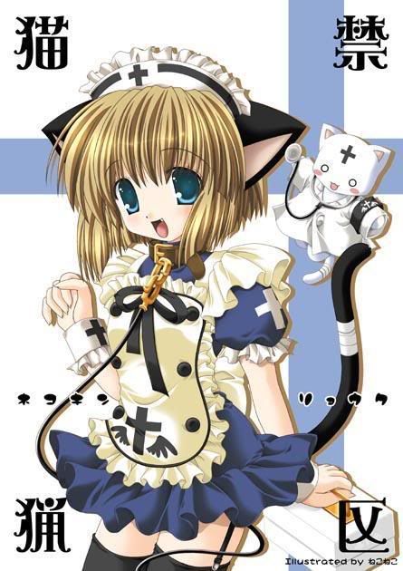 neko, maid, anime gi Pictures, Images and Photos