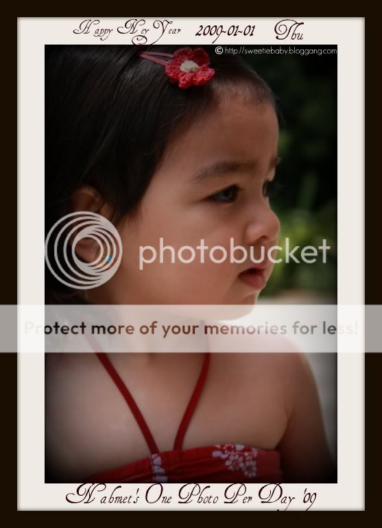 //i239.photobucket.com/albums/ff303/nahmet/oNE%20pHOTO%20pER%20dAY%202009/2009_01_01-1.jpg