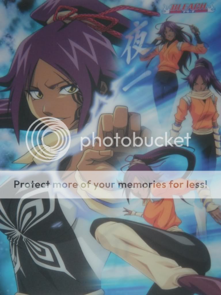 http://i239.photobucket.com/albums/ff42/KyoFang/Bleach/Yoruichi/yimontage.jpg