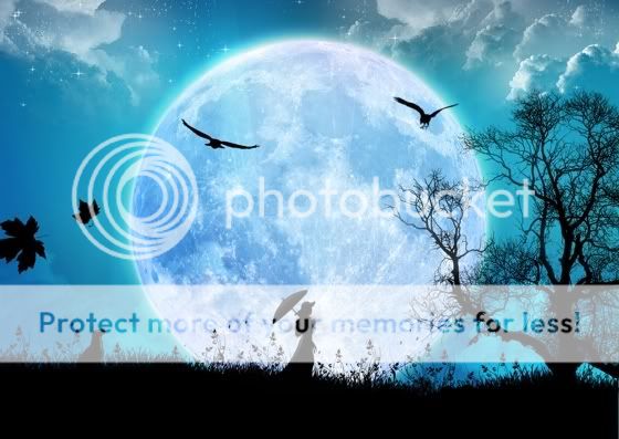 FANTASY Pictures, Images and Photos
